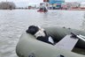 Пензенские волонтеры помогли более 300 животных во время паводка в Оренбуржье